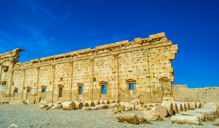 Palmyra, Syria.の写真素材
