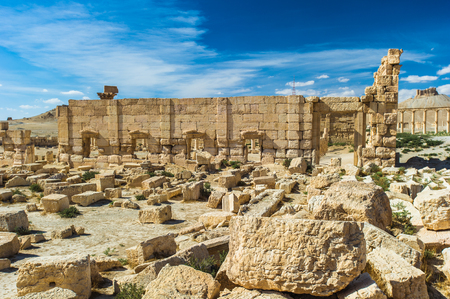 Ruins of the town of Palmyra, Syriaの写真素材