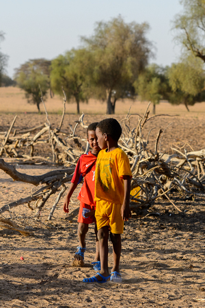 FERLO DESERT, SENEGAL - APR 25, 2017: Unidentified Fulani little children play on the street. Fulanis (Peul) are the largest tribe in West African savannahsのeditorial素材