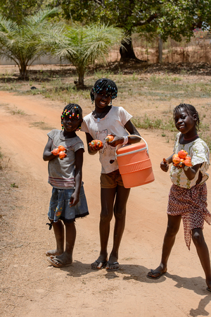 CANCHUNGO, GUINEA BISSAU - MAY 3, 2017: Unidentified local children collect vegetables for dinner. Bissau-Guinean people suffer of poverty due to the bad economyのeditorial素材