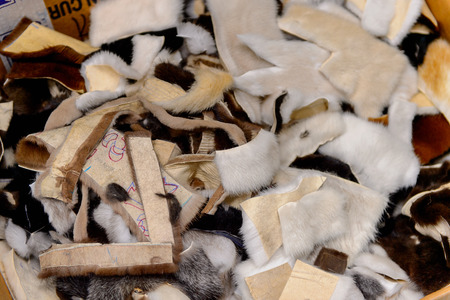 GREECE - APR 22, 2016: Fur coat making factory of Papandopulos in Kastoria, Greece. Very populat brand of Greek made fir coatsのeditorial素材