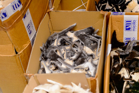 GREECE - APR 22, 2016: Fur coat making factory of Papandopulos in Kastoria, Greece. Very populat brand of Greek made fir coatsのeditorial素材