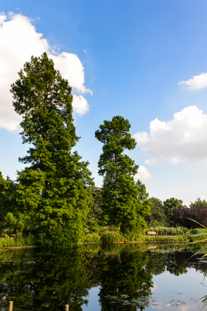 LONDON, ENGLAND - JULY 23, 2016: Nature of the Regent's Park, one of the Royal Parks of London.のeditorial素材