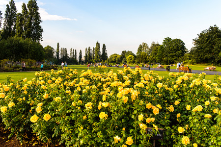 LONDON, ENGLAND - JULY 23, 2016: Nature of the Regent's Park, one of the Royal Parks of London.のeditorial素材
