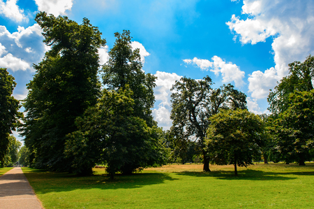 LONDON, ENGLAND - JULY 23, 2016: Nature of the Hyde Park, one of the largest parks in London, and one of the Royal Parks of London.のeditorial素材