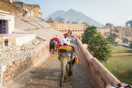 JAIPUR, INDIA - JAN 19, 2016: Unidentified tourists ride an elephant. Indian elephants used to be one of the main way of transportation in the pastのeditorial素材
