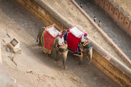 JAIPUR, INDIA - JAN 19, 2016: Unidentified Indian man rides an elephant. Indian elephants used to be one of the main way of transportation in the pastのeditorial素材