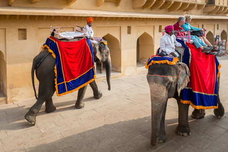 JAIPUR, INDIA - JAN 19, 2016: Unidentified Indian man rides an elephant with tourists. Indian elephants used to be one of the main way of transportation in the pastのeditorial素材