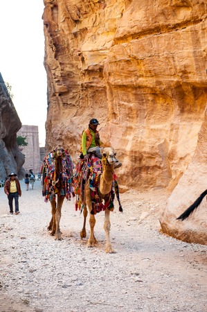 PETRA, JORDAN - APR 29, 2014: Unidentified man rides over a camel in Petra. The city of Petra was lost for over 1000 years. Now one of the Seven Wonders of the Wordのeditorial素材