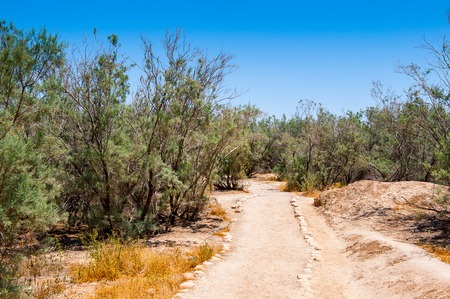 BAPTISM SITE, JORDAN - MAY 1, 2014: Nature of the Baptism Site, Jordan. Bastism Site is the place where Jesus of Nazareth was baptized by John the Baptist.のeditorial素材