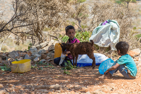 SOCOTRA, YEMEN - JAN 15, 2014: Unidentified Yemeni boys play with a goat on the Socotra Archipelago. Children on the  Socotra Archipelago grow without educationのeditorial素材