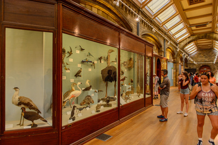 LONDON, ENGLAND - JUL 23, 2016: Bird area at he Natural History Museum (1881), Exhibition Road, South Kensingtonのeditorial素材