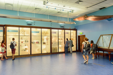 LONDON, ENGLAND - JUL 23, 2016: Interior of the Natural History Museum (1881), Exhibition Road, South Kensingtonのeditorial素材