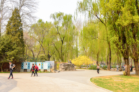 BEIJING, CHINA - APR 5, 2016: Beijing Zoo, a zoological park in Beijing, China. Founded in 1906 it is one of the oldest zoos in China.のeditorial素材