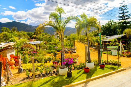OAXACA, MEXICO - OCT 31, 2016: Architecture of a village near Oaxaca de Juarez, Mexico. The name of the town is derived from the Nahuatl name Huaxyacacのeditorial素材