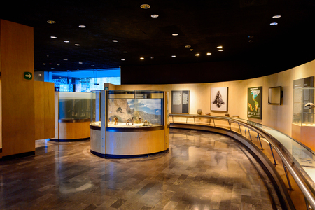 MEXICO CITY, MEX - OCT 27, 2016: Exponates of the National Museum of Anthropology (Museo Nacional de Antropologia, MNA), the largest and most visited museum in Mexicoのeditorial素材