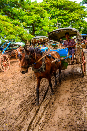 INWA, MYANMAR - AUG 25, 2016: Horse carriage in a village on the road to  Inwa, Mandalay Region, Burma. This is also a taxi option for the touristsのeditorial素材