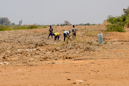 ROAD TO LAMPOUL, SENEGAL - APR 23, 2017: Unidentified Senegalese people work on the ground in the field. Still many people in Senegal live in povertyのeditorial素材