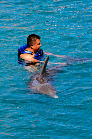 XCARET, MEXICO - NOV 7, 2016: Dolphins attraction of the Xcaret,  Maya civilization archaeological site, Yucatan Peninsula, Quintana Roo, Mexicoのeditorial素材