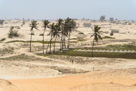KAYAR, SENEGAL - APR 27, 2017: Unidentified Senegalese boy stands on the field with palm-trees in a beautiful village near Kayar, Senegalのeditorial素材