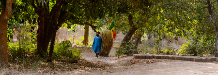 OUSSOUYE, SENEGAL - APR 30, 2017: Unidentified Senegalese man in blue dress walks with a man in a hay suit behind in the Sacred Forest near Kaguit villageのeditorial素材