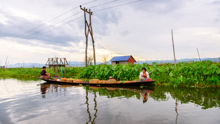 INLE LAKE, MYANMAR - AUG 30, 2016: Unidentified Burmese women in bamboo boat sails over the Inle Sap,a freshwater lake located in the Nyaungshwe Township of Taunggyi District of Shan State, Myanmarのeditorial素材
