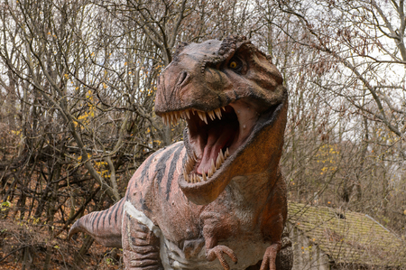 BRATISLAVA, SLOVAKIA - OCT 18, 2015: Tyrannosaurus Rex head in DinoPark in Bratislava, Slovakia. Tyrannosaurus is a genus of coelurosaurian theropod dinosaurのeditorial素材
