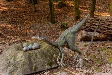 BRATISLAVA, SLOVAKIA - SEP 28, 2016: Velociraptor at the DinoPark, one of the popular attractions in Bratislava, Slovakia.のeditorial素材