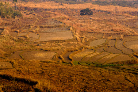 Nature of Bhutanの写真素材