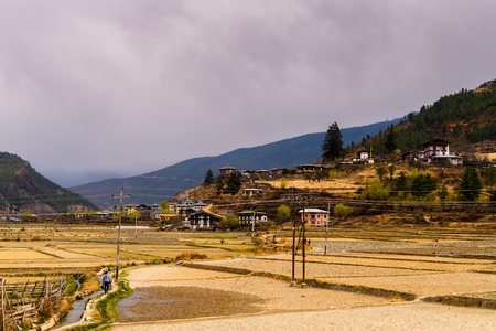 Nature of Paro Valley, Bhutanの写真素材