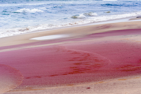 Atlantic Ocean coast at the Namib-Naukluft National Park, Namibiaの写真素材