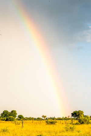 Rainbow at the Okavango Delta (Okavango Grassland), One of the  Seven Natural Wonders of Africa, Botswanaの写真素材