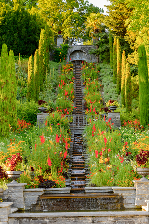 Flowers in the Park on the Lake Constance (Bodensee) on the Rhine at the  foot of the Alpsの写真素材