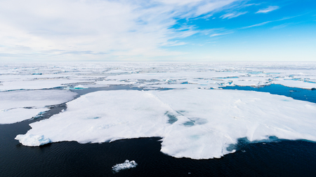 Ice pieces on the water in Arctic