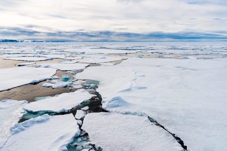 Ice pieces on the water in Arctic