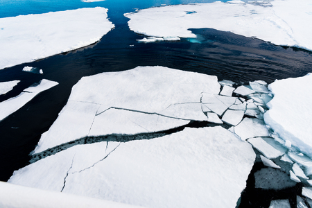 Ice pieces on the water in Arctic