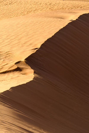 Amazing view of the Sahara desertの写真素材