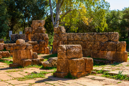 Nature and ruins of Tipasa, a colonia in Roman province Mauretania Caesariensis, nowadays Algeria.の写真素材