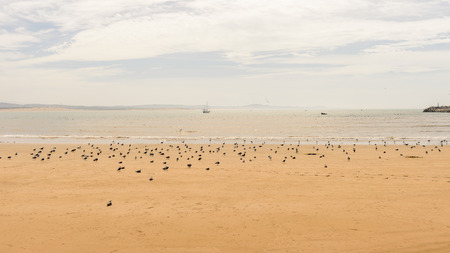 Coast of the Atlantic ocean, near Essaouira, Moroccoの写真素材