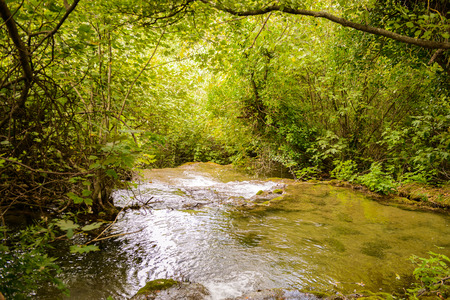 Nature of the Krka National Park in Croatiaの写真素材