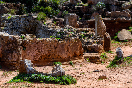 Nature of Tipasa, a colonia in Roman province Mauretania Caesariensis, nowadays Algeria.の写真素材