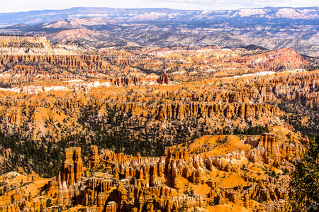 Amazing view of the Bryce Canyon National park, Utah, USAの写真素材
