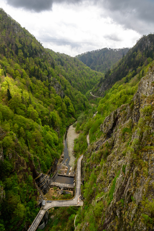 Beautiful landscape of the green mountain hills  of Romaniaの写真素材