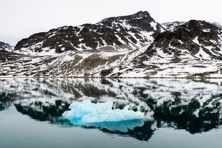 Ice piece in Arctic