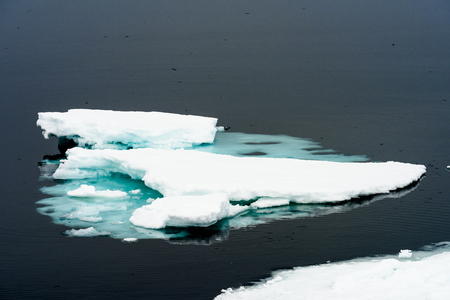 Little ice piece in Arctic