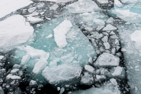 Ice pieces on the water in Arcticの写真素材