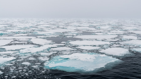 Ice pieces on the water in Arcticの写真素材