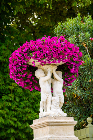 Flowers in the Luxembourg Gardenの写真素材