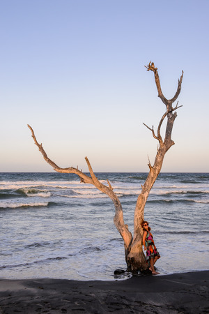 Alone tree on Isla Margarita, Venezuelaの写真素材