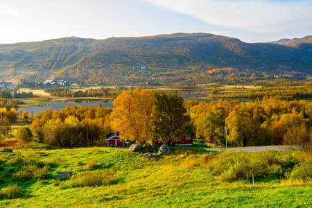 Nature of Geilo in Hardangervidda Plateau, Norway, Europe.の写真素材